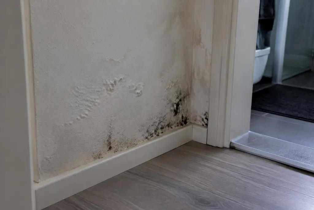 Lekdetectie Schiphol – vochtplek met schimmel op een muur
